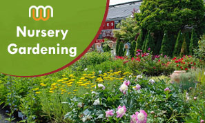 Nursery Gardaining Website Nursery Gardaining Website